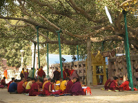 India i Nepal. Les passes de Buda