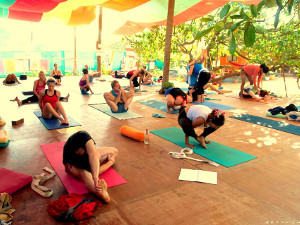 Terrakia - Yoga y Ayurveda en India Terrakia - Yoga y Ayurveda en India