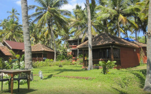 Terrakia - Yoga y Ayurveda en India Terrakia - Yoga y Ayurveda en India